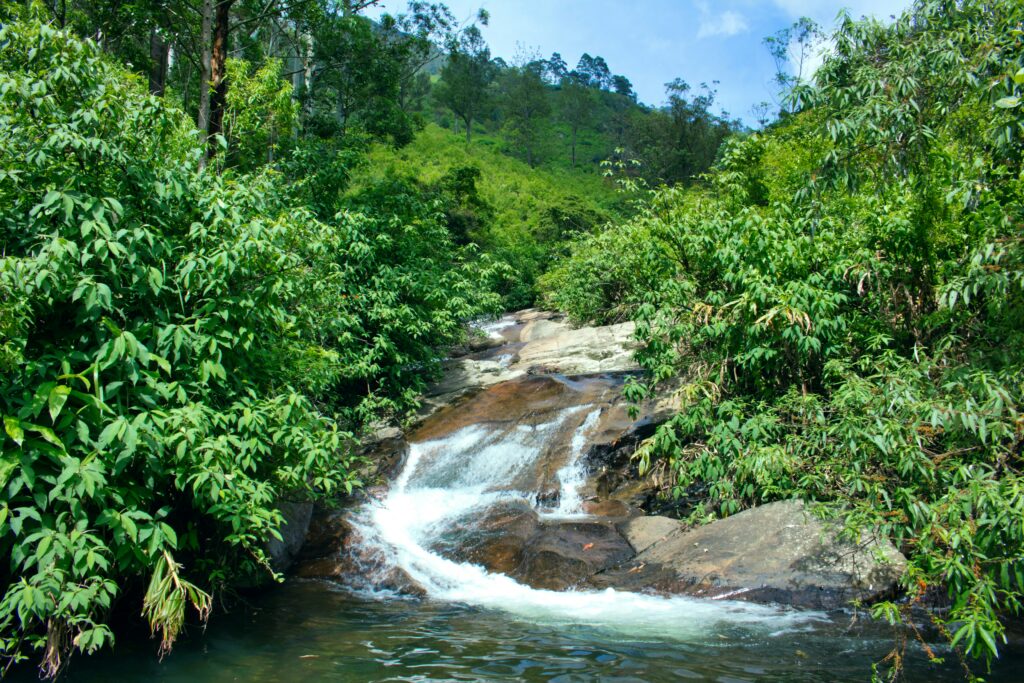 Mountain Stream Cascade Tropical Forest Water Lush Green Stream Jungle Water Flow Water Over Rocks Nature Hiking Trail Stream Dense Foliage River Clear Water Forest Hillside Waterfalls Natural Stream Scene