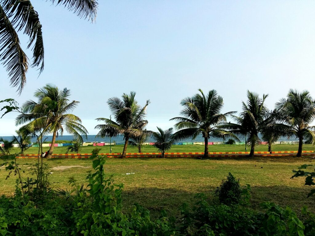 Palm Trees Coastal View Tropical Beach Landscape Vizag Palm Line Lawn Sea View Coconut Trees Ocean Park Grass Beach Coastal Line Greenery India Coastline Palms Tropical Landscape Nature Seaside Palm Grove