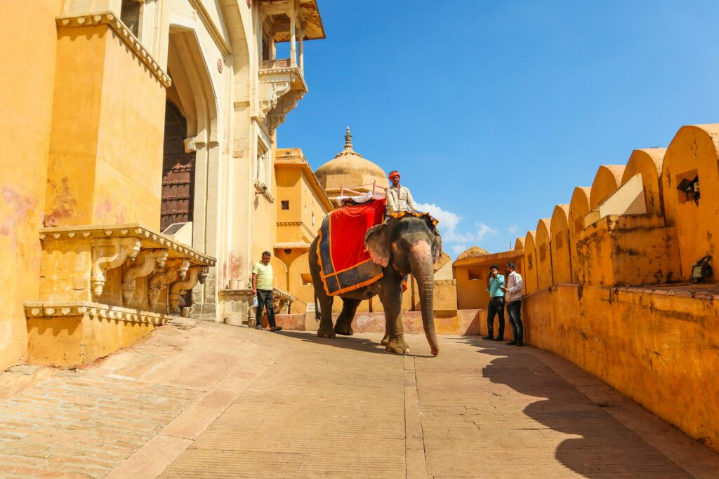 amber fort jaipur elephant ride tourism decorated elephant rajasthan historic fort amer fort entrance rajasthan travel traditional indian elephant mahout ancient architecture yellow walls rajasthan india travel culture adventure sreehari devadas photography indian fort tourist attraction jaipur amber palace elephant with colorful blanket rajasthan indian heritage site clear blue sky